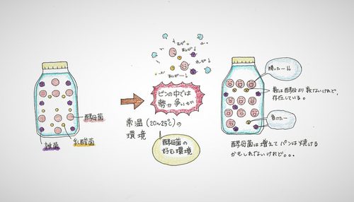 スキャン_20170610.png