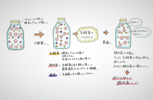 スキャン_20170610 (2).png