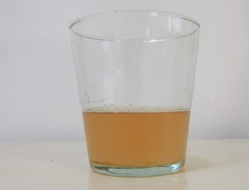 梅酵母1444.jpg