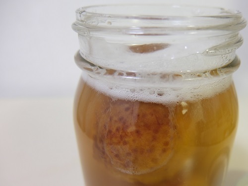 梅酵母1448.jpg