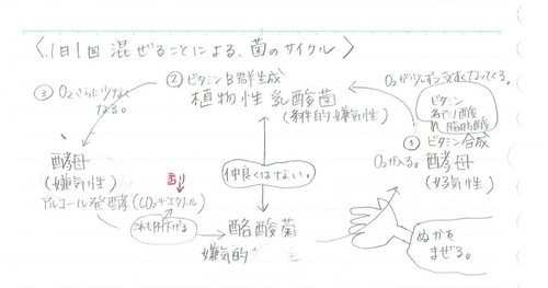 糠床の仕組み.jpeg