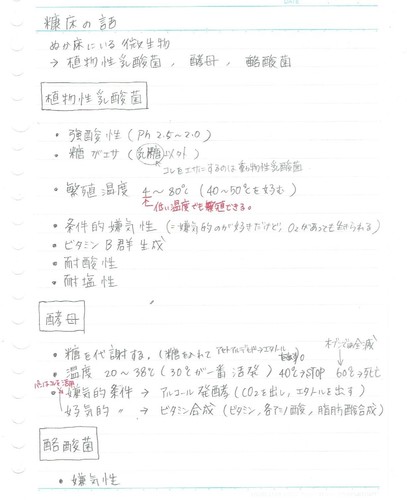 糠床の菌.jpeg