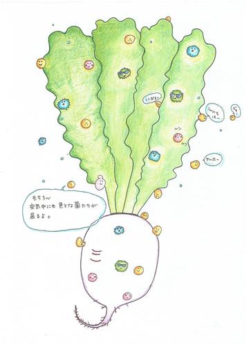 野菜につく微生物.jpeg