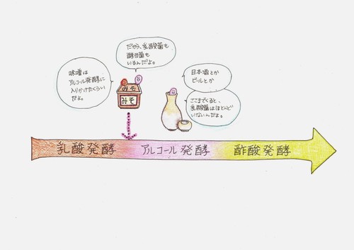 IMG (2).jpg
